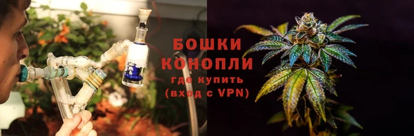 шишки Алексеевка