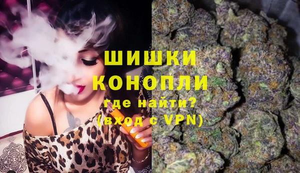 дурь Алзамай
